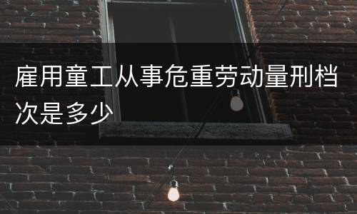 雇用童工从事危重劳动量刑档次是多少