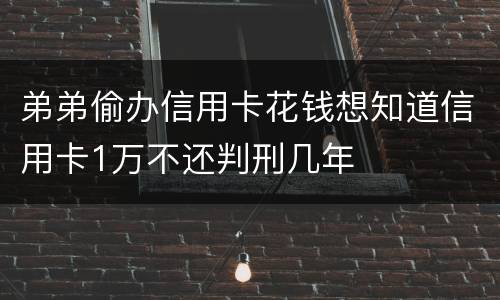 弟弟偷办信用卡花钱想知道信用卡1万不还判刑几年