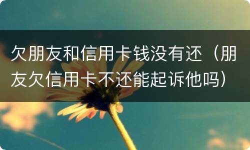 欠朋友和信用卡钱没有还（朋友欠信用卡不还能起诉他吗）