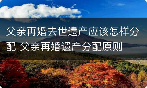 父亲再婚去世遗产应该怎样分配 父亲再婚遗产分配原则