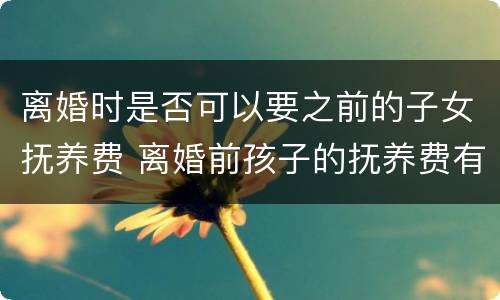 离婚时是否可以要之前的子女抚养费 离婚前孩子的抚养费有何规定
