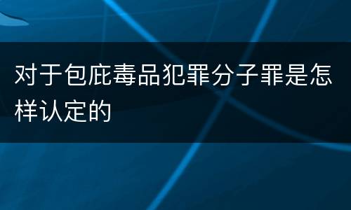 对于包庇毒品犯罪分子罪是怎样认定的