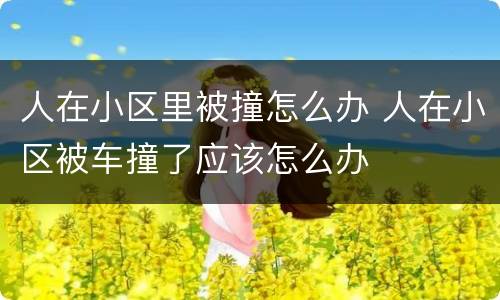 人在小区里被撞怎么办 人在小区被车撞了应该怎么办