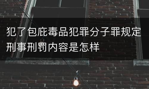 犯了包庇毒品犯罪分子罪规定刑事刑罚内容是怎样