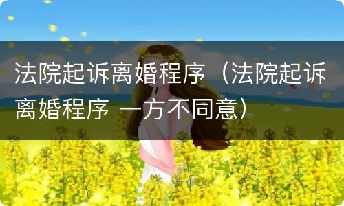 法院起诉离婚程序（法院起诉离婚程序 一方不同意）