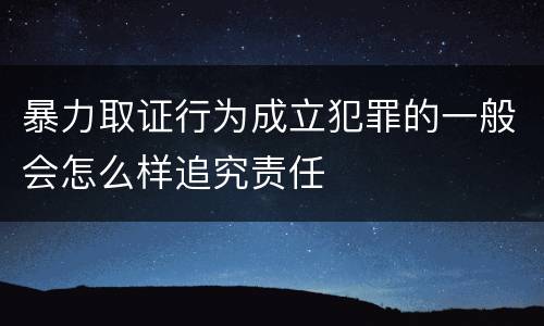 暴力取证行为成立犯罪的一般会怎么样追究责任