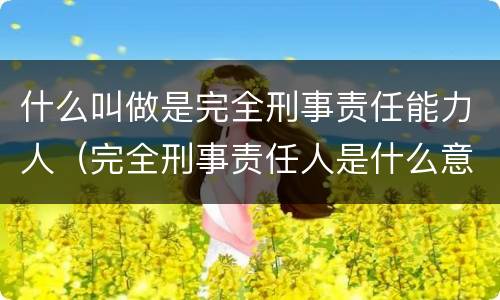 什么叫做是完全刑事责任能力人（完全刑事责任人是什么意思）