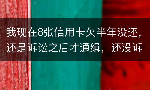 我现在8张信用卡欠半年没还，还是诉讼之后才通缉，还没诉讼