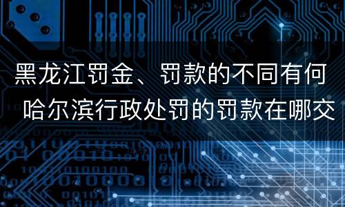 黑龙江罚金、罚款的不同有何 哈尔滨行政处罚的罚款在哪交