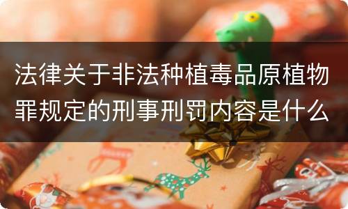 法律关于非法种植毒品原植物罪规定的刑事刑罚内容是什么
