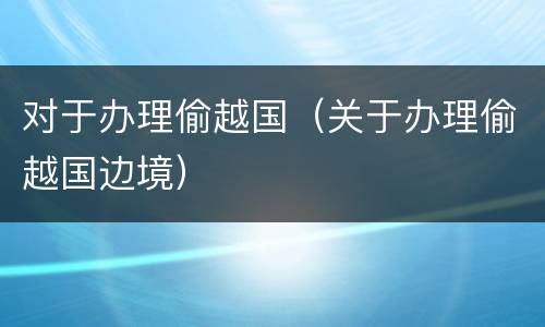 对于办理偷越国（关于办理偷越国边境）