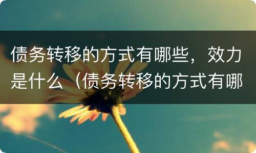 债务转移的方式有哪些，效力是什么（债务转移的方式有哪些,效力是什么）