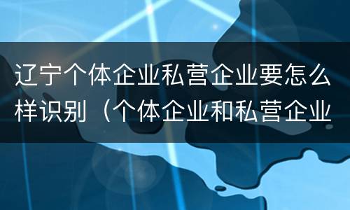 辽宁个体企业私营企业要怎么样识别（个体企业和私营企业）