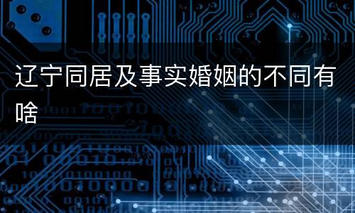 辽宁同居及事实婚姻的不同有啥