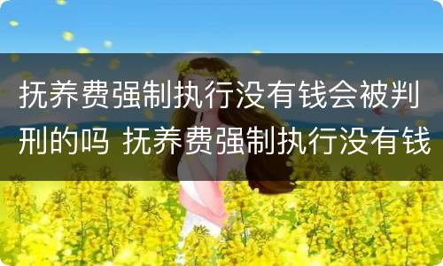 抚养费强制执行没有钱会被判刑的吗 抚养费强制执行没有钱会被判刑的吗