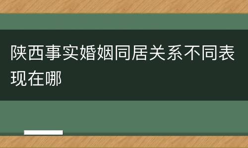 陕西事实婚姻同居关系不同表现在哪