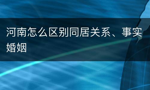 河南怎么区别同居关系、事实婚姻
