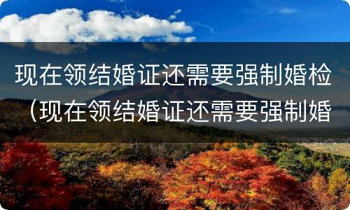现在领结婚证还需要强制婚检（现在领结婚证还需要强制婚检嘛）
