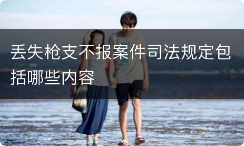 丢失枪支不报案件司法规定包括哪些内容