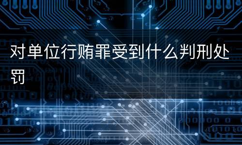 对单位行贿罪受到什么判刑处罚