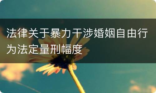 法律关于暴力干涉婚姻自由行为法定量刑幅度