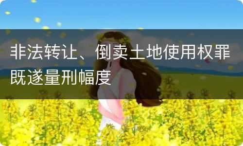 非法转让、倒卖土地使用权罪既遂量刑幅度