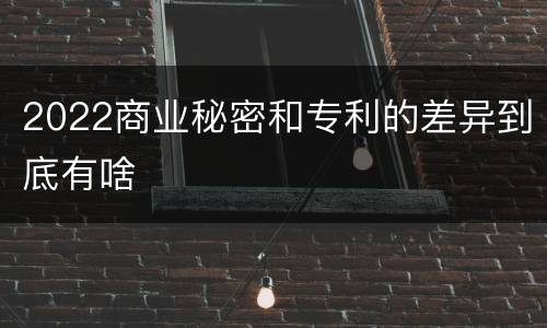 2022商业秘密和专利的差异到底有啥