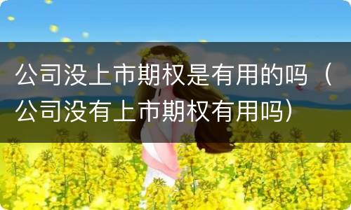 公司没上市期权是有用的吗（公司没有上市期权有用吗）