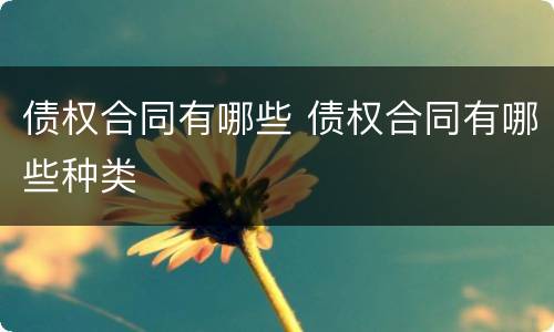 债权合同有哪些 债权合同有哪些种类