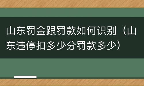 山东罚金跟罚款如何识别（山东违停扣多少分罚款多少）