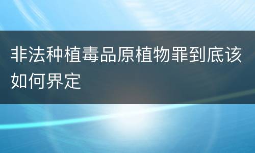 非法种植毒品原植物罪到底该如何界定