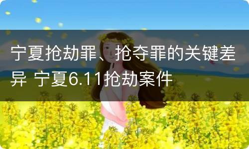宁夏抢劫罪、抢夺罪的关键差异 宁夏6.11抢劫案件