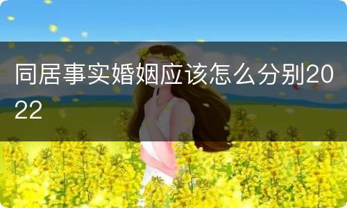 同居事实婚姻应该怎么分别2022