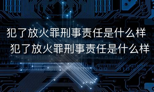犯了放火罪刑事责任是什么样 犯了放火罪刑事责任是什么样子的