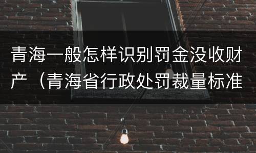 青海一般怎样识别罚金没收财产（青海省行政处罚裁量标准）