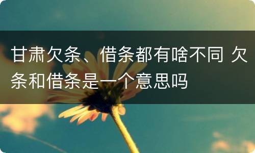 甘肃欠条、借条都有啥不同 欠条和借条是一个意思吗