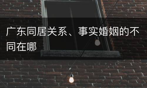 广东同居关系、事实婚姻的不同在哪