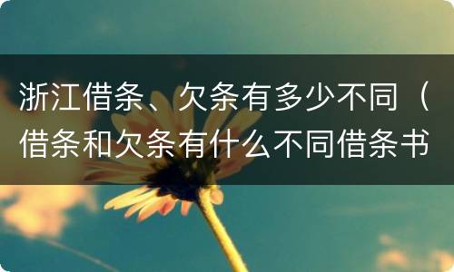 浙江借条、欠条有多少不同（借条和欠条有什么不同借条书写）