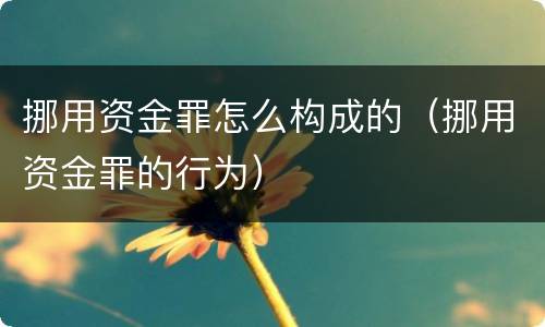 挪用资金罪怎么构成的（挪用资金罪的行为）