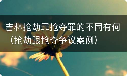吉林抢劫罪抢夺罪的不同有何（抢劫跟抢夺争议案例）