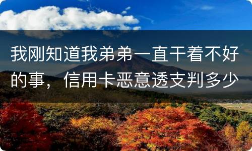 我刚知道我弟弟一直干着不好的事，信用卡恶意透支判多少年