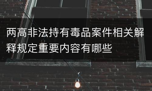 两高非法持有毒品案件相关解释规定重要内容有哪些