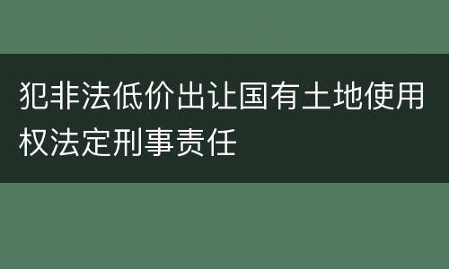 犯非法低价出让国有土地使用权法定刑事责任