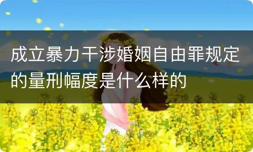 成立暴力干涉婚姻自由罪规定的量刑幅度是什么样的