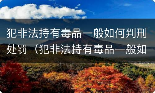 犯非法持有毒品一般如何判刑处罚（犯非法持有毒品一般如何判刑处罚）