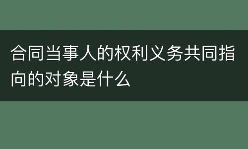 合同当事人的权利义务共同指向的对象是什么