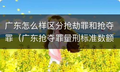 广东怎么样区分抢劫罪和抢夺罪（广东抢夺罪量刑标准数额）