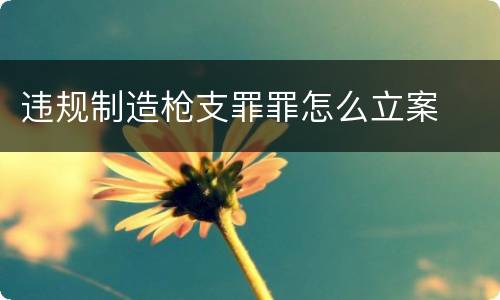 违规制造枪支罪罪怎么立案