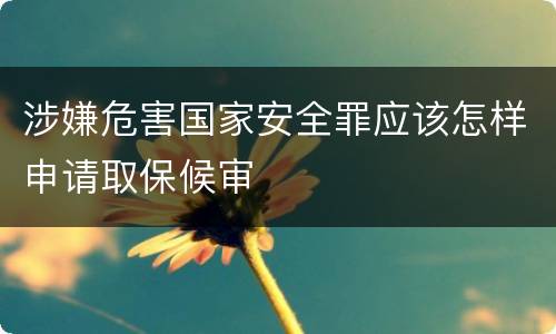 涉嫌危害国家安全罪应该怎样申请取保候审