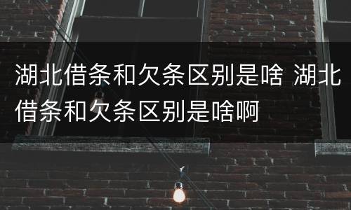 湖北借条和欠条区别是啥 湖北借条和欠条区别是啥啊